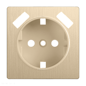 Накладка  для розетки USB (шампань рифленый) Werkel WL10-USB-CP