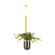 Настенный светильник Odeon Light FLOWER 4682/1WB