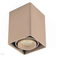 Накладной светильник Donolux Lumme DL18611/01WW-SQ Champagne