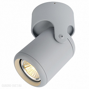 Спот Arte Lamp A3316PL-1GY