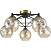 Потолочная люстра Vele Luce Furia VL1882L05