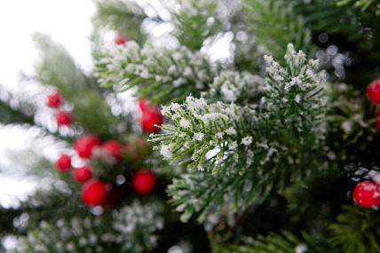 Ель CRYSTAL TREES Лаки заснеженная с ягодами 180 см. KP1118