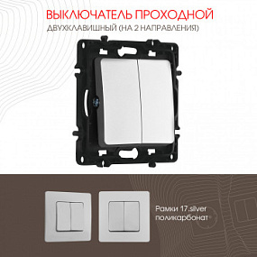 Выключатель двухклавишный проходной (на 2 направления), 10AX 250V 217.32-2.silver Arte Milano