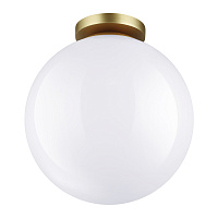 Потолочный накладной светильник Odeon Light BOSCO 4249/1C