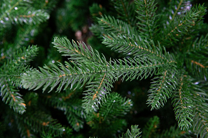 Ель CRYSTAL TREES ПЕРСЕЯ 90 см. KP1190