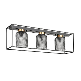Потолочная люстра Vele Luce Morrison VL5472L03