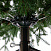 Ель CRYSTAL TREES Савойя 180 см KP13180