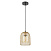 Подвесной светильник Vele Luce Diodor VL6404P01
