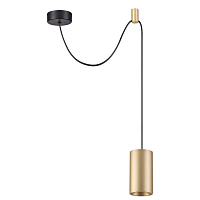 Подвесной светильник Odeon Light LUCAS 3898/1