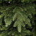 Ель CRYSTAL TREES Эвита 300 см. KP4430