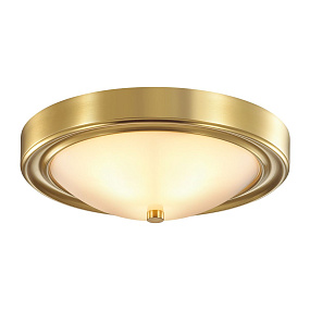 Настенно-потолочный светильник LUMION NINA 5259/2C