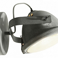 Спот Lussole Loft LSP-9880
