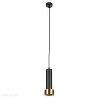 Подвесной светильник Arte Lamp RAN A3147SP-1BK