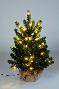Ель CRYSTAL TREES БЕРГАМО с вплетенной гирляндой 60 см KP3060L