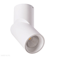 Накладной светодиодный светильник Arte Lamp ORIONE A7717PL-1WH