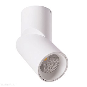 Накладной светодиодный светильник Arte Lamp ORIONE A7717PL-1WH