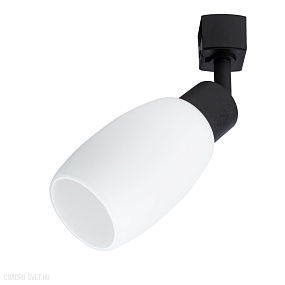 Трековый светильник для 1-фазного шинопровода Arte Lamp MIIA A3055PL-1BK
