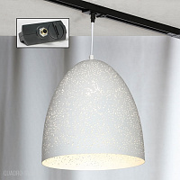 Трековый светильник Lussole Loft Port Chester LSP-9891-TAB