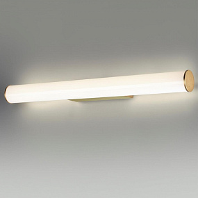 Светодиодная подсветка для зеркала Odeon Light ANTER 6618/12WL