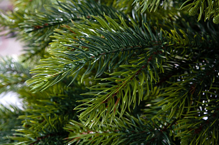 Ель CRYSTAL TREES Атланта Премиум зеленая 240 см. KP1024