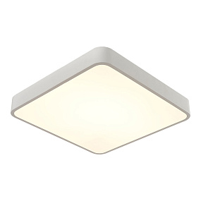 Потолочный светодиодный светильник Arte Lamp SCENA A2663PL-1WH