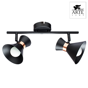 Спот Arte Lamp Baltimore A1406AP-2BK