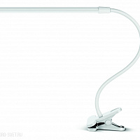 Настольная лампа Arte Lamp Сonference A1106LT-1WH