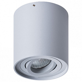 Накладной светильник Arte Lamp FALCON A5645PL-1GY