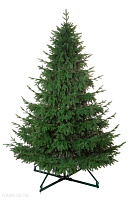 Ель CRYSTAL TREES ШОТЛАНДИЯ 270 см. (инт.подставка) KP4727