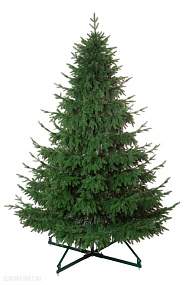 Ель CRYSTAL TREES ШОТЛАНДИЯ 270 см. (инт.подставка) KP4727