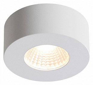 Накладной светодиодный светильник Odeon Light BENE 4282/7CL