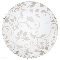 Настенно-потолочный светильник Arte Lamp ORNAMENT A4120PL-2CC