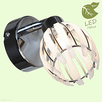 Спот LGO NELSON GRLSP-0099