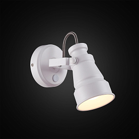 Спот CITILUX Бейкер CL541510