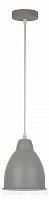 Подвес Arte Lamp Braccio A2054SP-1GY