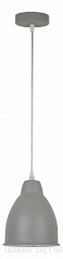 Подвес Arte Lamp Braccio A2054SP-1GY