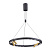 Светодиодная подвесная люстра Odeon Light BEVEREN 3918/48L