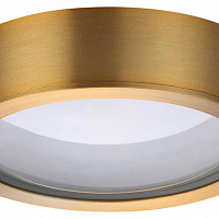 Светодиодный потолочный светильник Odeon Light REUS 4342/7CL