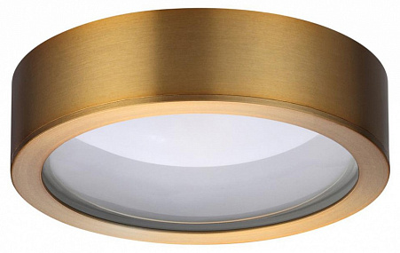 Светодиодный потолочный светильник Odeon Light REUS 4342/7CL