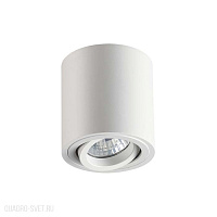 Накладной светильник Odeon Light TUBORINO 3567/1C