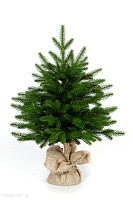 Ель CRYSTAL TREES ОЛИВИЯ 60 см. KP2360