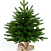 Ель CRYSTAL TREES ОЛИВИЯ 60 см. KP2360